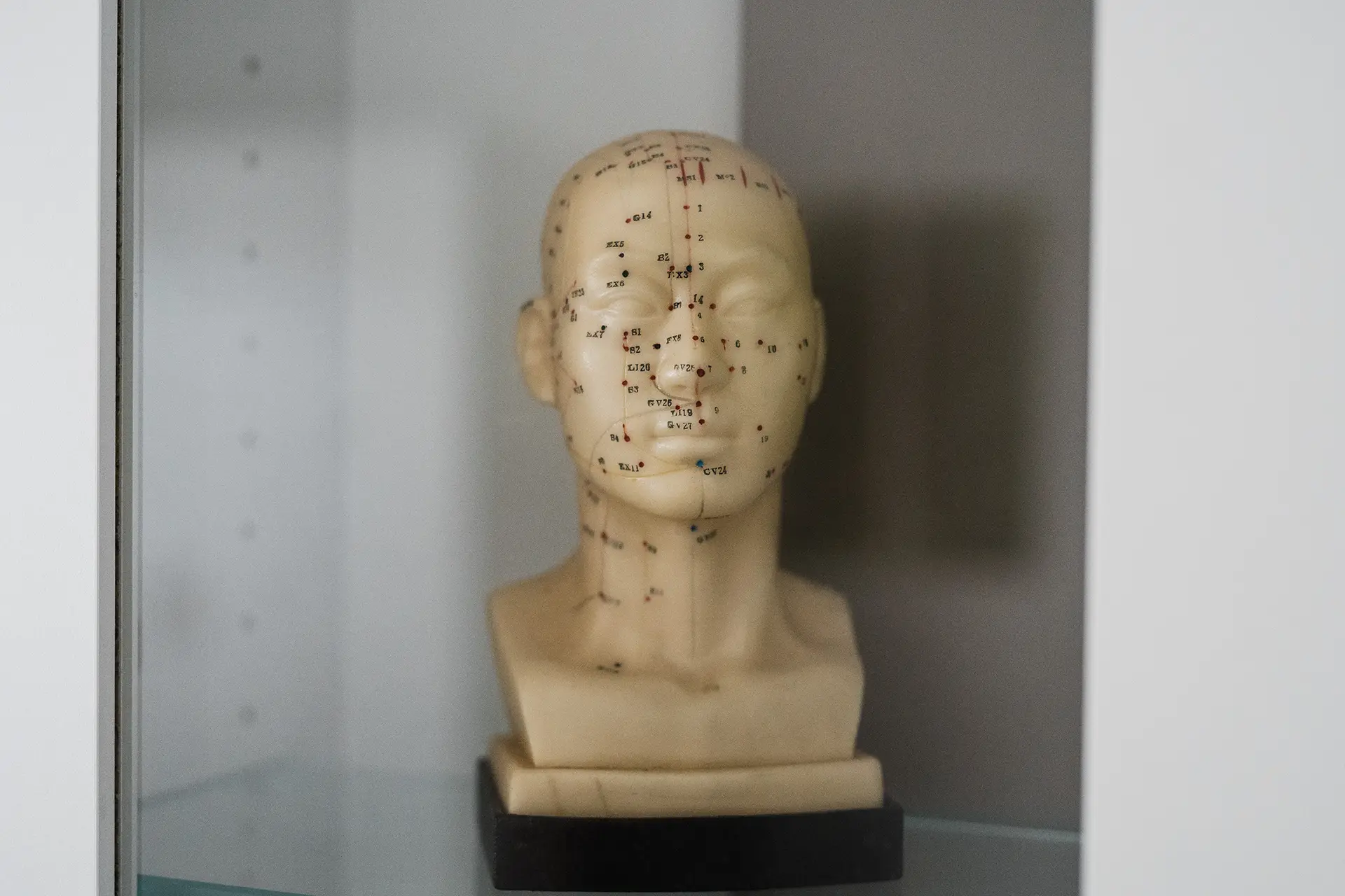 Akupunktur Detailfoto einer Skulptur. Ein Kopf bemalt mit den verschiedenen Punkten der Akupunktur.